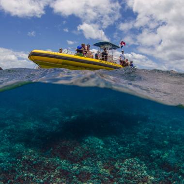 Tour Vessel, Nai'a 1