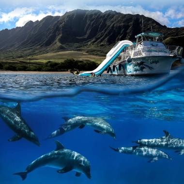 Oahu Dolphin Cruise