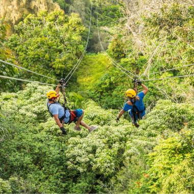 Soar through the trees on Kohala Zipline