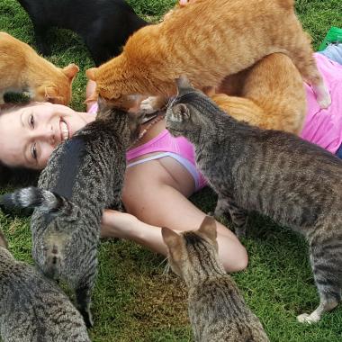 Kitty heaven