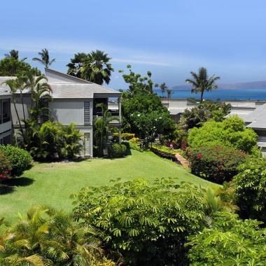 Wailea Ekolu Village Grounds