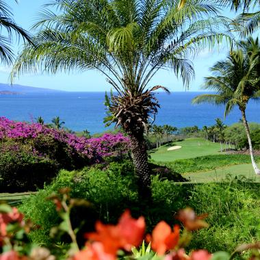 Wailea Emerald Course-1