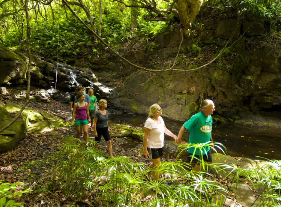 Kayak jungle streams, hike to waterfalls with Outfitters Kauai