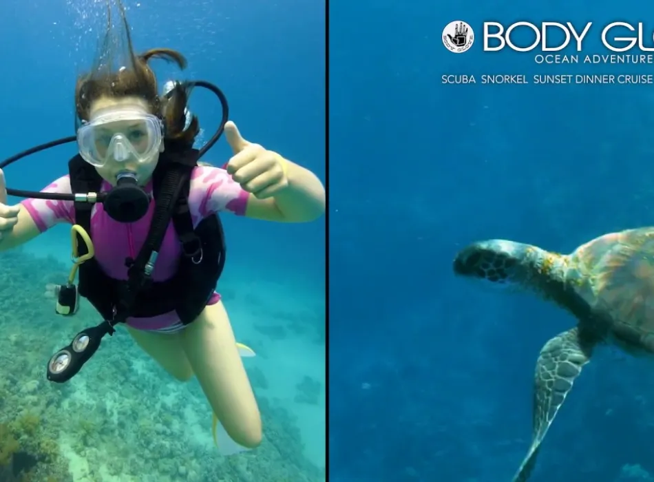 Embedded thumbnail for Body Glove Cruises