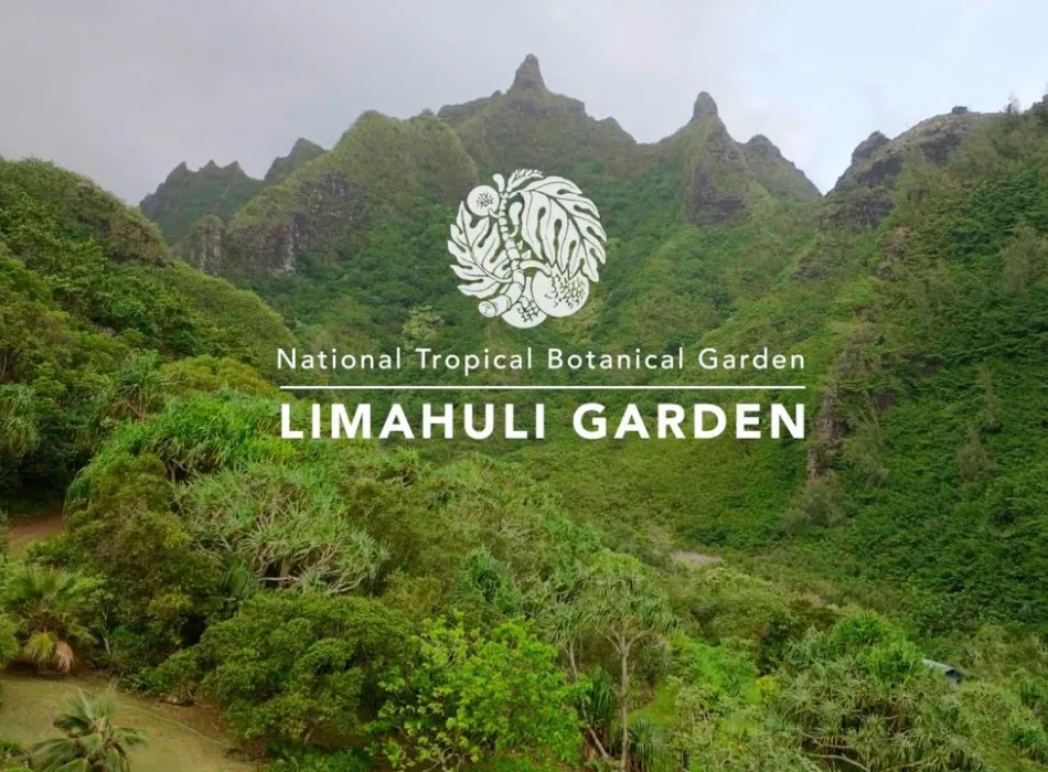 Embedded thumbnail for Garden Tours