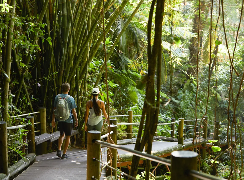 Visitors at the Hawaiʻi Tropical Botanical Gardens on the Island of Hawaiʻi