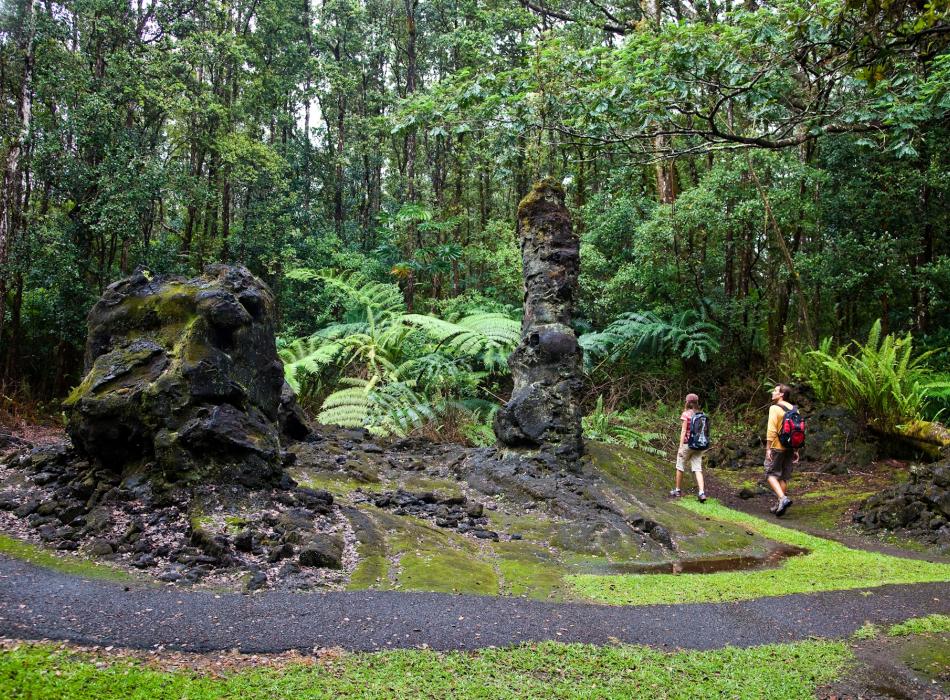 Lava Tree State Monument