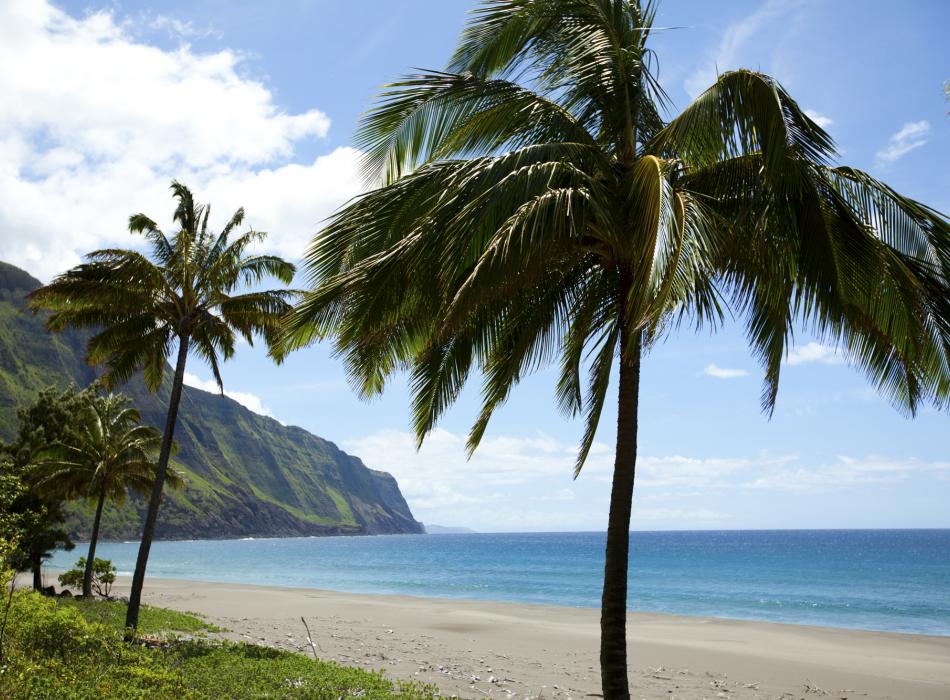 An empty beach with palm trees on the Hawaiian island of Molokai