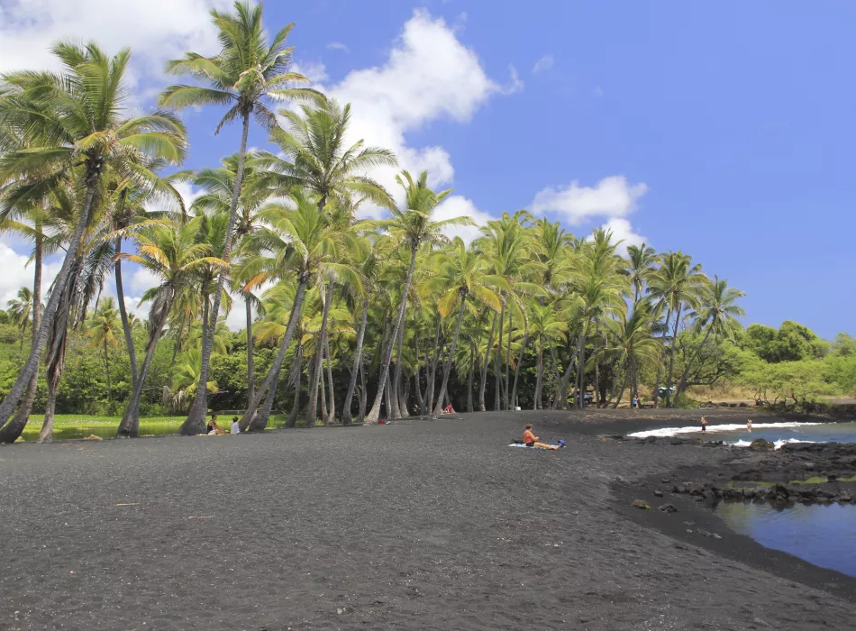 Panoramic view of Punaluu Beach's black sand, surrounded by lush palm trees and scattered beachgoers.