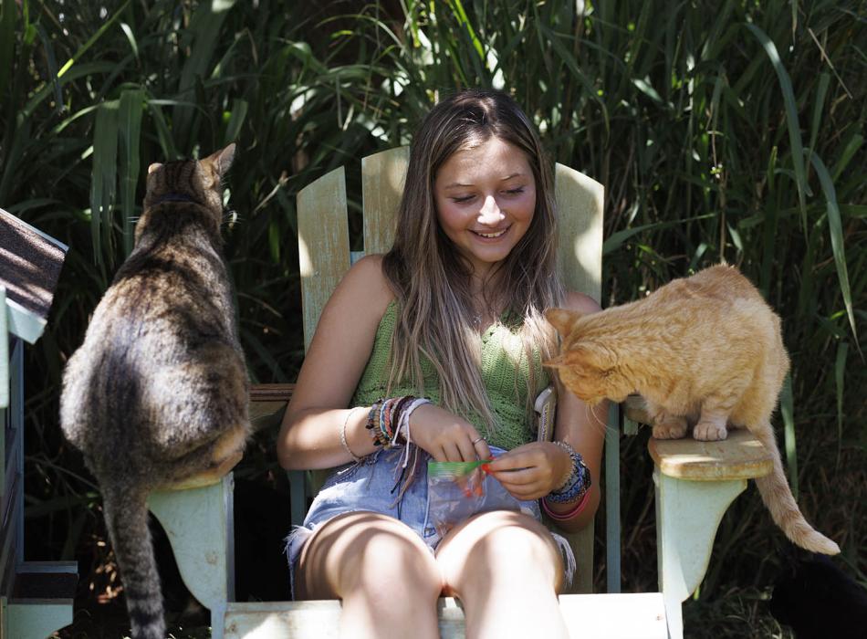 Cat sanctuary on Lanai with cats a young lady