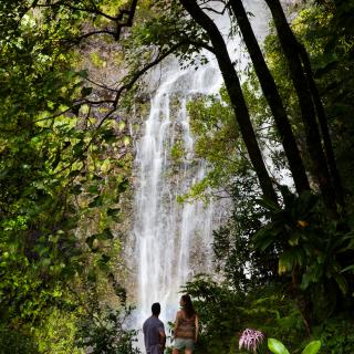 East Maui Waterfall off the Hana Highway in East Maui