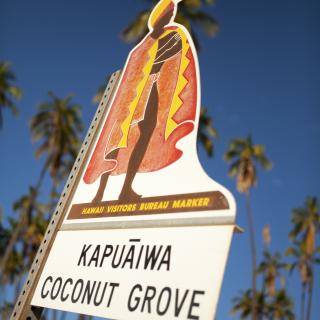 Kapuaiwa Coconut Grove