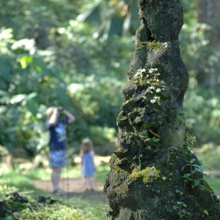 Lava Tree State Park