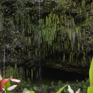 Fern Grotto