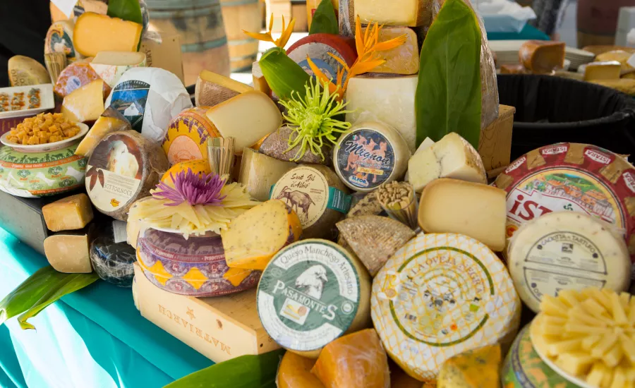 Cheese wheels on display