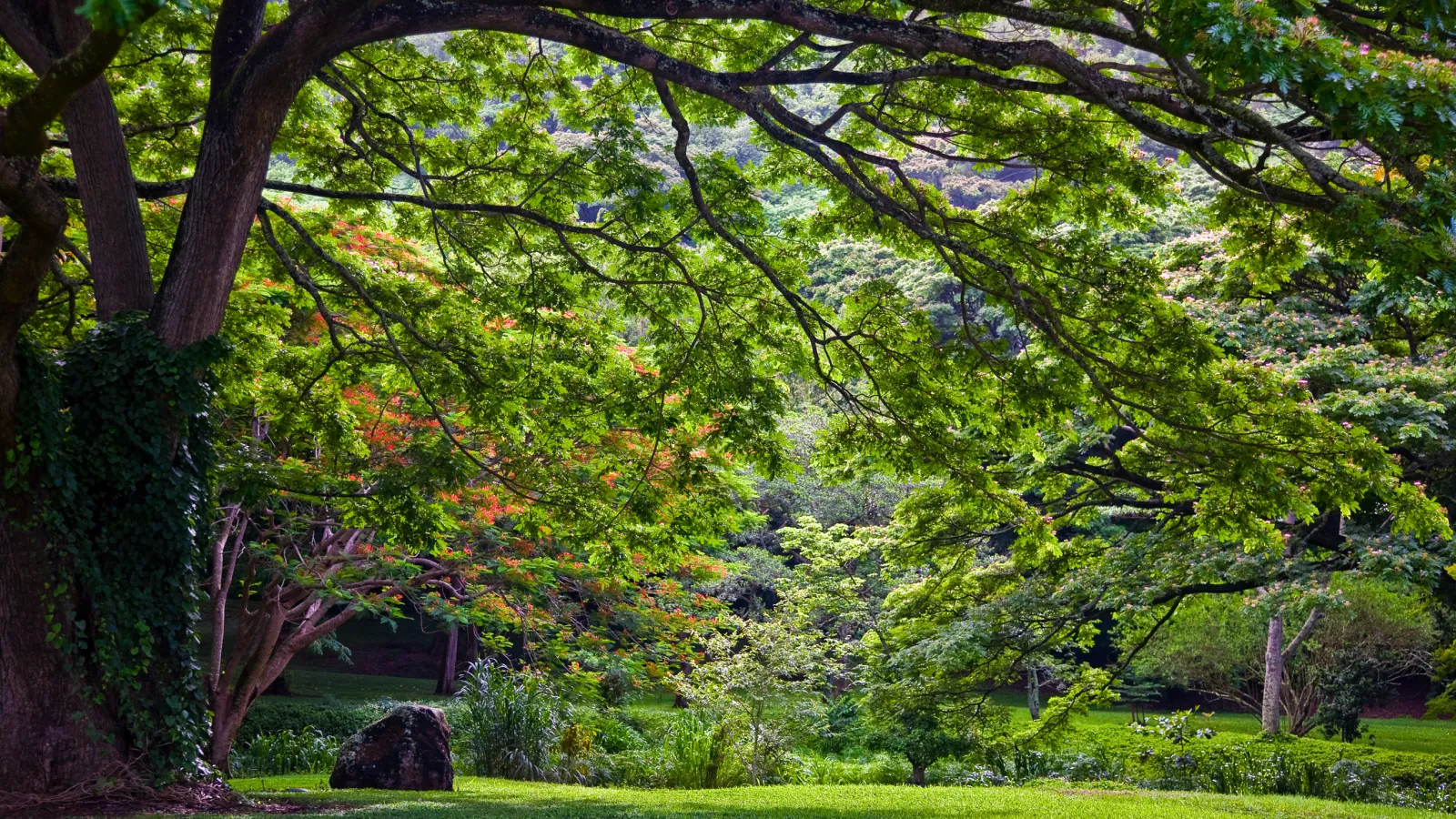 McBryde Garden