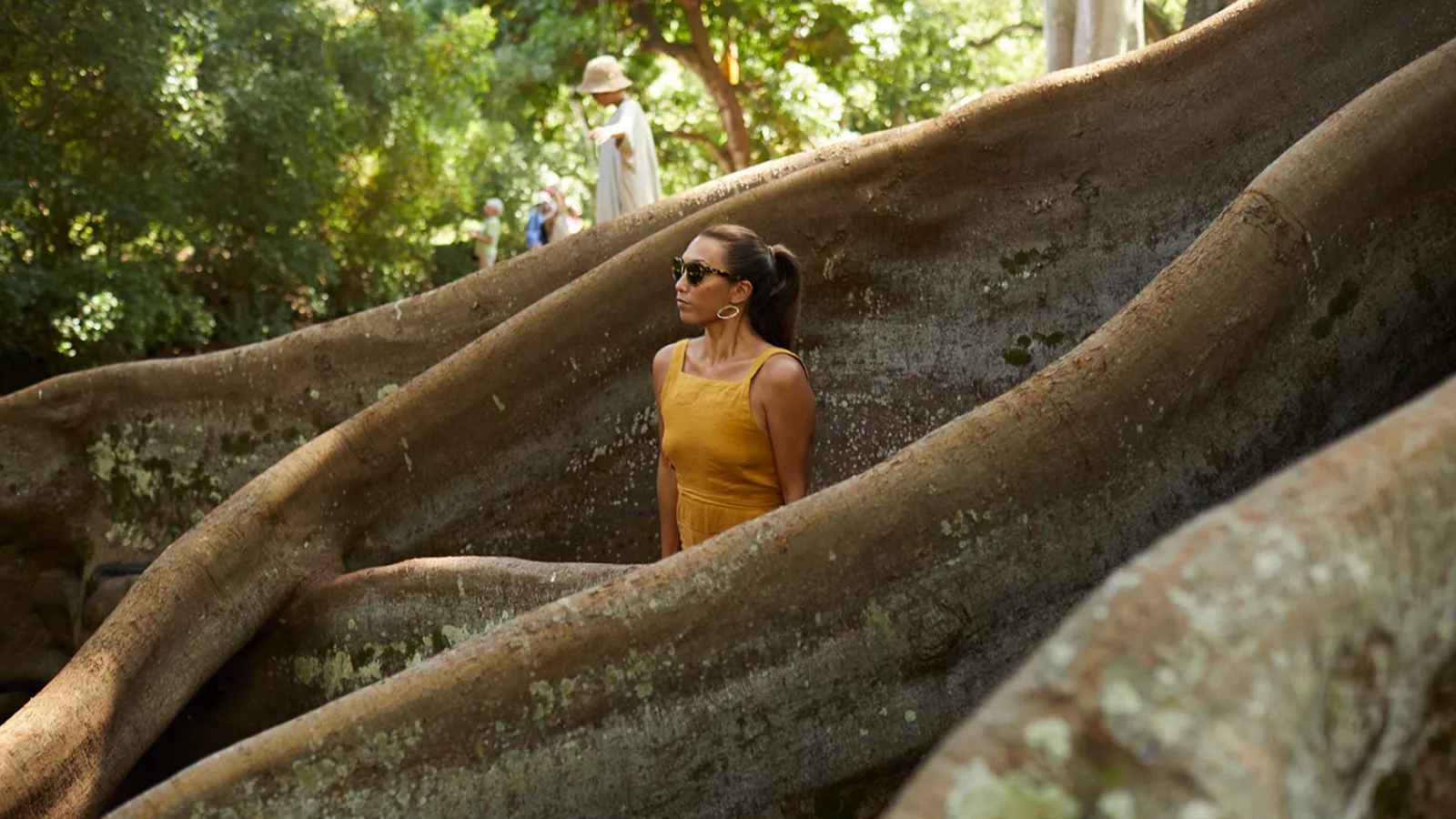 Woman standing amongst giant tree roots.