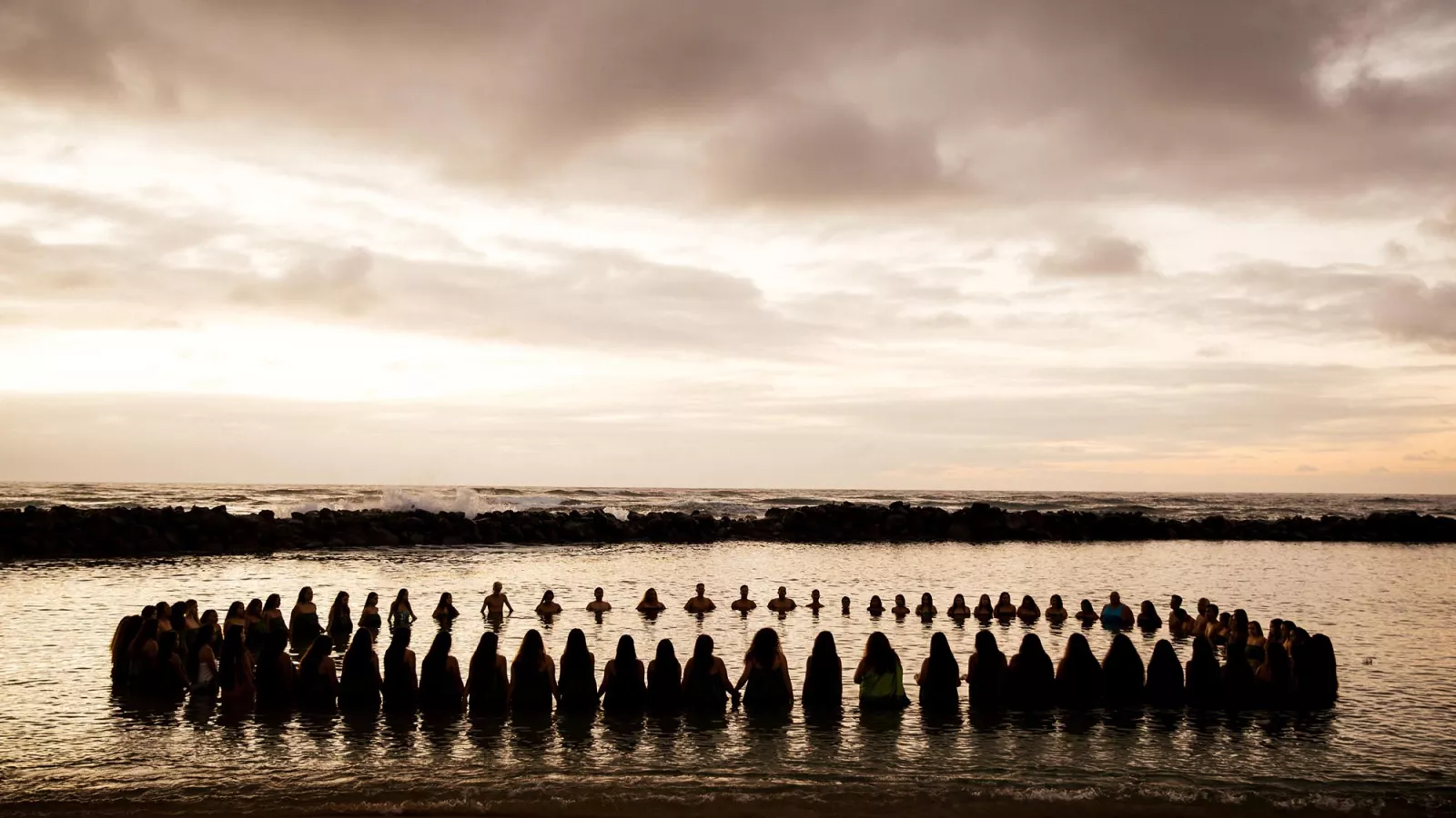 Building a Hula Legacy