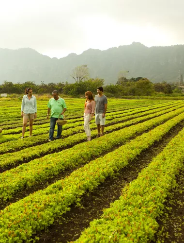 Farm Tour